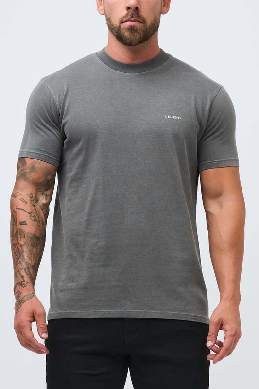 LEGEND PREMIUM BASICS T-SHIRT - VINTAGE GREY